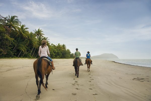 Ride the Magic of Bali: Join Our Horse Riding Experience! - Image 3