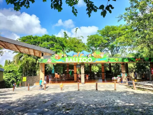Ultimate Elephant Adventure by Bali Zoo - Image 4