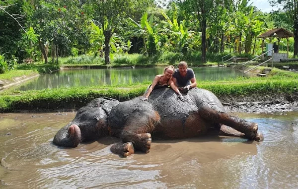 Ultimate Elephant Adventure by Bali Zoo - Image 5