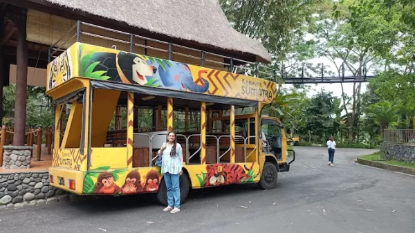 Ultimate Elephant Adventure by Bali Zoo - Image 6