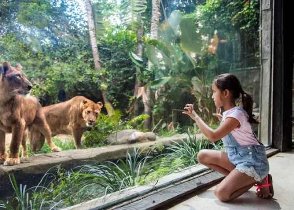 Ultimate Elephant Adventure by Bali Zoo - Image 7