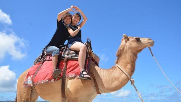 Unforgettable Bali Camel Ride Adventure - Image 3