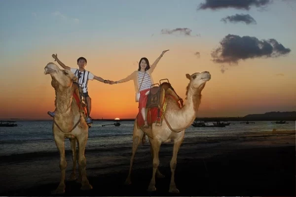Unforgettable Bali Camel Ride Adventure - Image 5