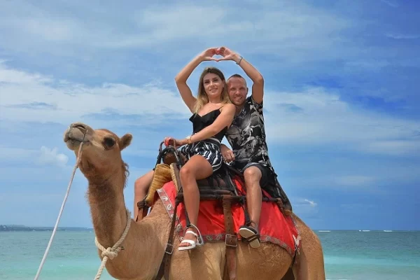 Unforgettable Bali Camel Ride Adventure - Image 6