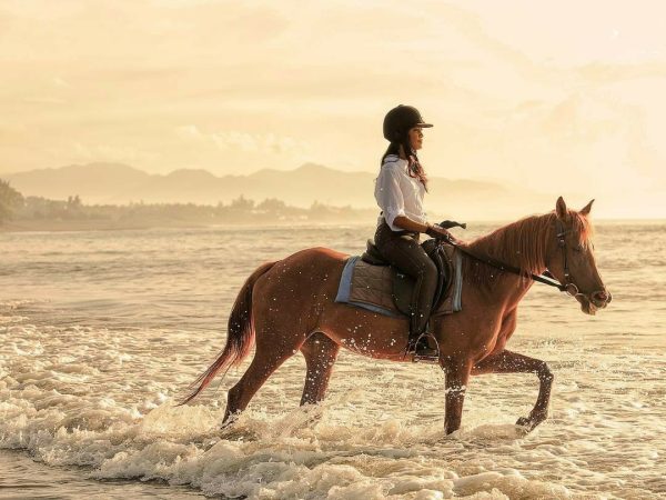Ride the Magic of Bali: Join Our Horse Riding Experience! - Image 6