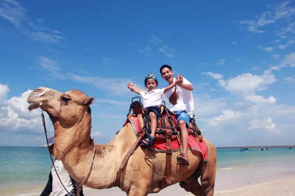 Unforgettable Bali Camel Ride Adventure - Image 2
