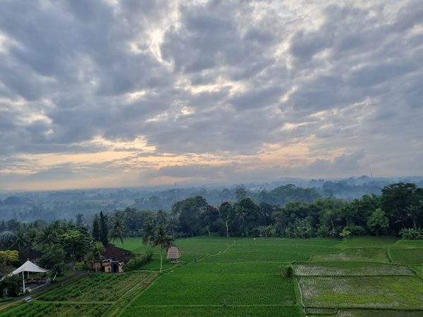 Bali Hot Air Balloon Adventure: Unforgettable Views of Ubud - Image 3