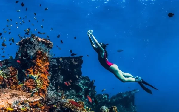 Amed Bali Snorkeling – Explore Japanese Shipwreck and Bali’s Underwater Paradise - Image 5