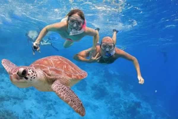 Amed Bali Snorkeling – Explore Japanese Shipwreck and Bali’s Underwater Paradise - Image 4
