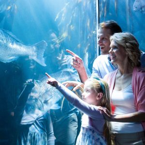 Bali Marine Safari Experience at Bali Safari -an unforgettable journey beneath the waves
