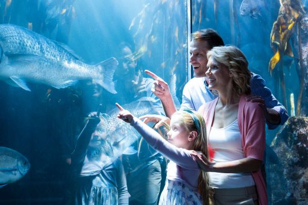 Bali Marine Safari Experience at Bali Safari -an unforgettable journey beneath the waves