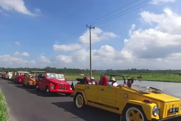 Bali Volkswagen Tour – Explore Bali’s Beauty in Vintage Style - Image 4
