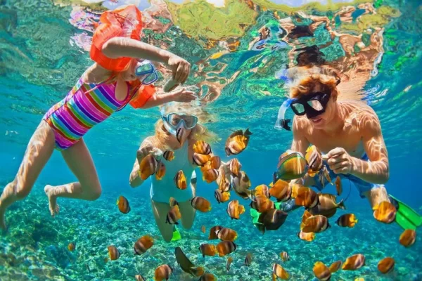 West Nusa Penida Tour + Snorkeling 3 Spots Limited ! - Image 7
