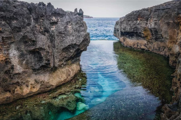 West Nusa Penida Tour + Snorkeling 3 Spots Limited ! - Image 6