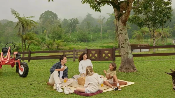 Picnic at Bali Farm House – A Blissful Outdoor Escape