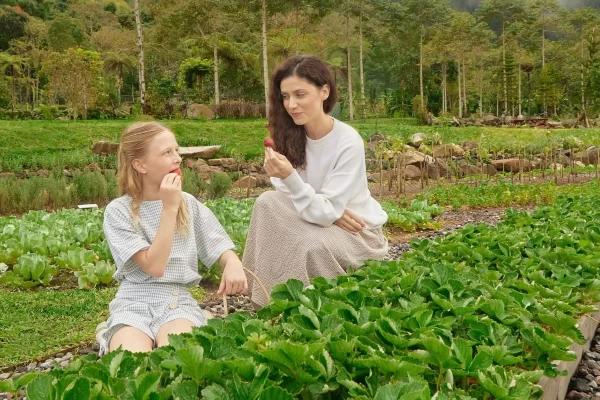 Picnic at Bali Farm House – A Blissful Outdoor Escape - Image 4