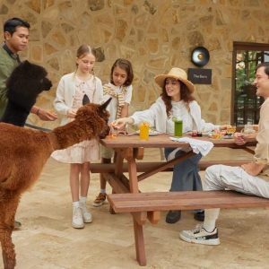 Brunch with Alpaca at Bali Farm House Bedugul