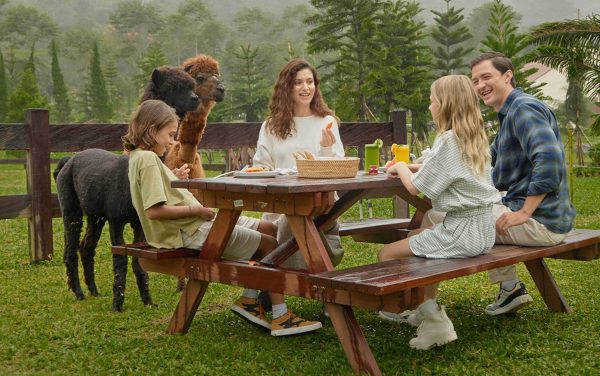 Brunch with Alpaca at Bali Farm House Bedugul - Image 5