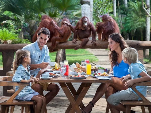 Breakfast with Orangutan Ticket at Bali Zoo – A Morning You’ll Never Forget