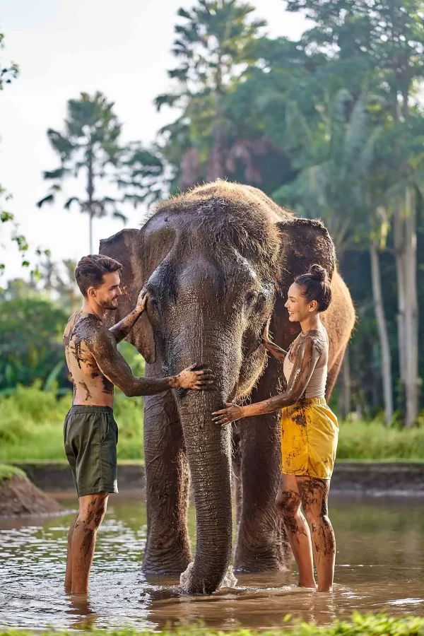 Bali Zoo Elephant Mud Fun Ticket – Play, Wash & Bond - Image 5