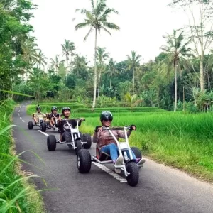 Bali Jungle Cart Ticket – Ride Through Untamed Nature