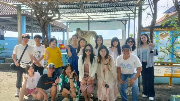 Bali Saba Asri Turtle Conservation Ticket – Protect & Release Baby Turtles