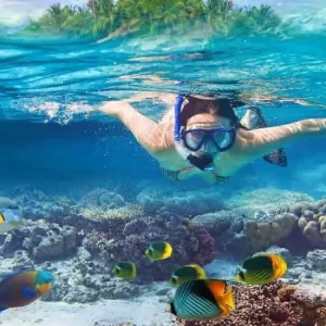 West Nusa Penida Tour + Snorkeling 3 Spots Limited !
