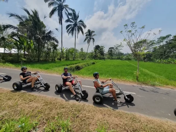 Bali Jungle Cart Ticket – Ride Through Untamed Nature - Image 5