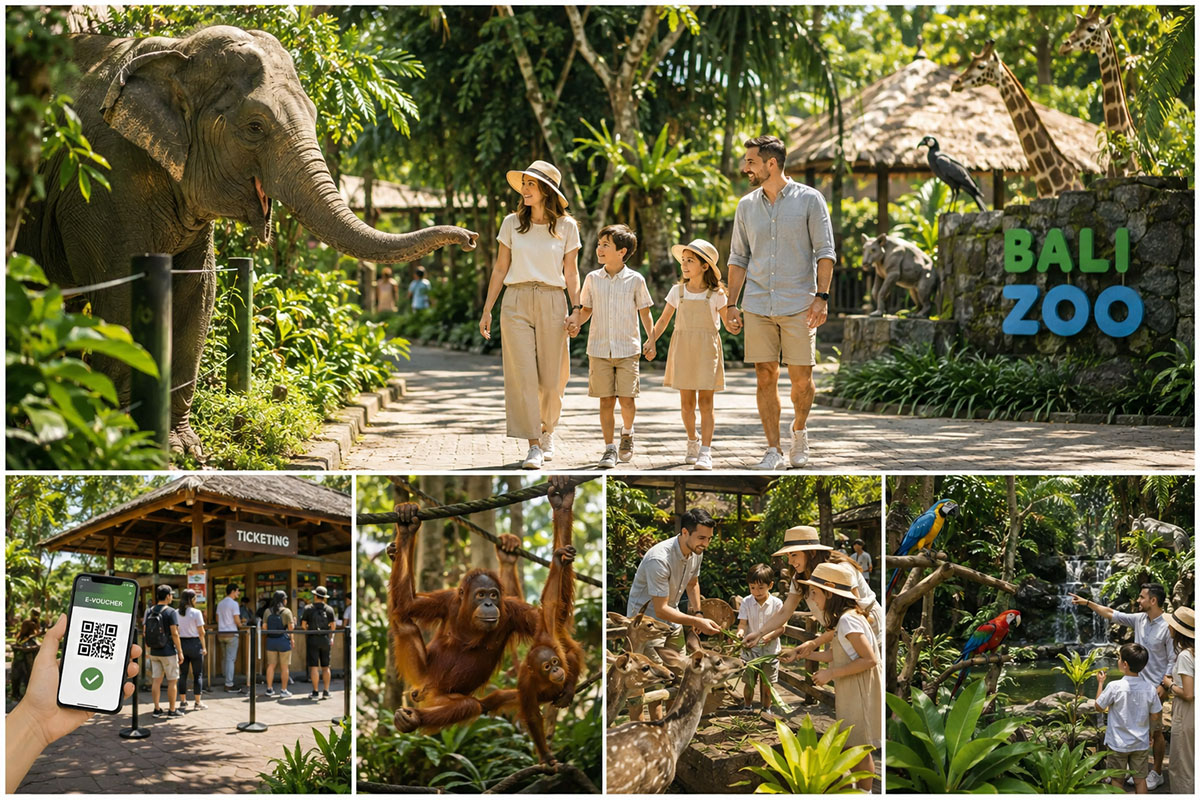 bali zoo vouchers